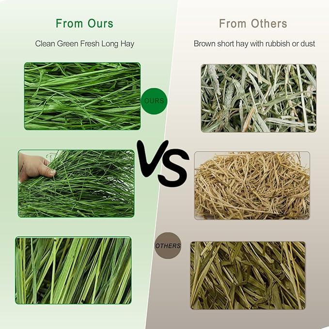Timothy Hay 2.2LBS - Premium Hay for Rabbits Tortoise Guinea Pig Chinchilla - Dust Free Natural Fresh Hay (1.1 lbs, 2 Pack)