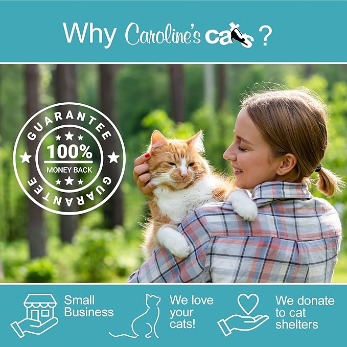 Caroline's Cats Automatic Butterfly Cat Toy – Interactive 2 in 1 with Auto Shut Off & Catnip Ball Track; Recommended Electric Exercise & Enrichment Game