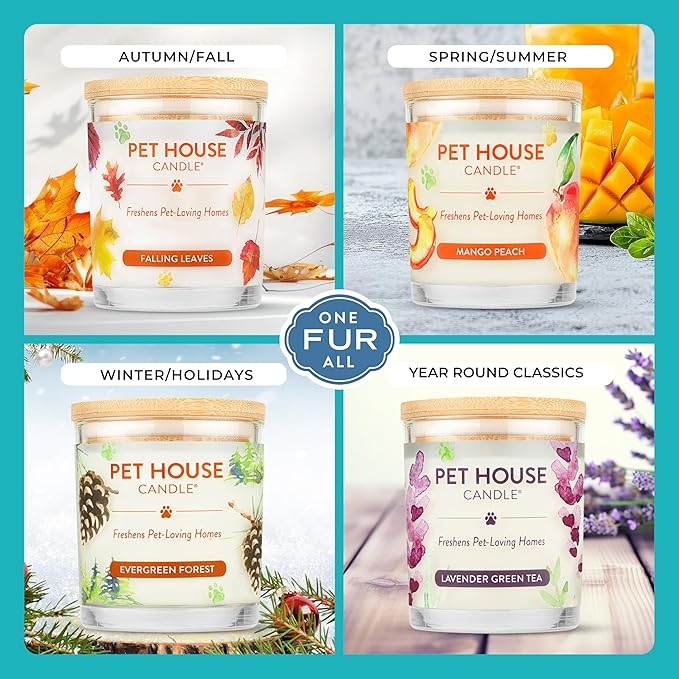 Pet House Candles, Plant-Based, Long Lasting Scented Pet Friendly Candles for Home - Mediterranean Sea