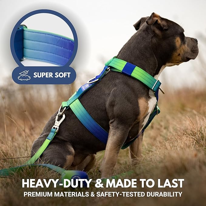 Spark Paws No Pull Dog Harness for Large Dogs, Heavy Duty Dog Harness for Big Strong Breeds, Adjustable, Y Shaped Padded Halter Design with Front Clip - Lime Wave - L