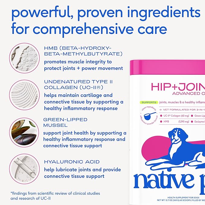 Native Pet Advanced Care - Hip & Joint Supplement for Dogs - Supports Joints, Cartilage, Muscles & Anti-Inflammatory with HMB, UC-II Collagen, Green Lipped Mussel & Hyaluronic Acid - 60 Scoops