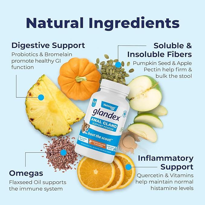 Vetnique Glandex Dog Fiber Supplement Powder for Anal Glands with Pumpkin, Digestive Enzymes & Probiotics - Vet Recommended (Regular or Advanced Strength) - Boot The Scoot (4.0 oz, Salmon)
