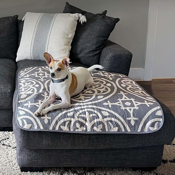 Paw Inspired Designer Print Dog Pads (2 Pack) | Premium Washable Pee Pads | Reusable Puppy Pads for Potty Training, Whelping, Waterproof Mat | Leakproof, Non-Slip Liner (Medallion Style, 36"x36" Size)