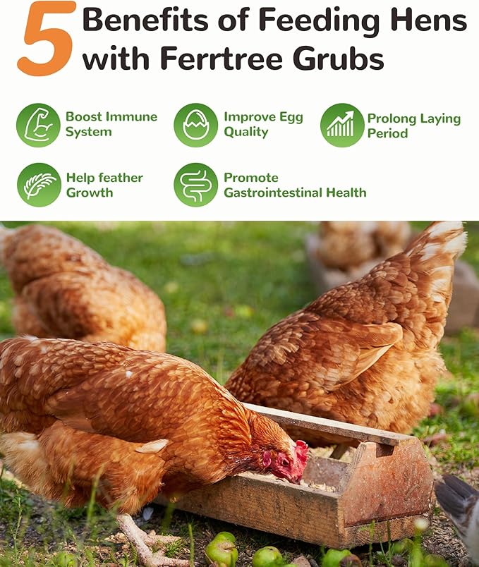 5LB Dried Worms Black Soldier Fly Larvae for Chickens Birds, High Protein 85x Calcium Than Mealworms 100% Natural Non-GMO, Tasty Treats Worms Grubs for Chickens Ducks Laying Hens