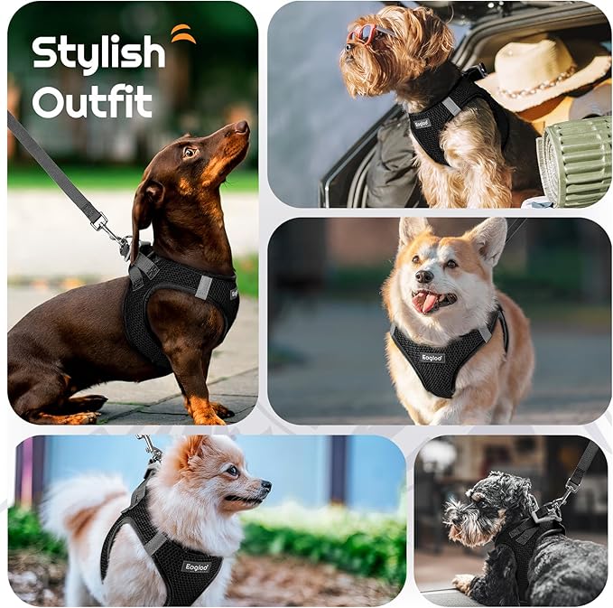 Eagloo Small Dog Harness and Leash Set, Step in Puppy Vest with Breathable Soft Mesh, Walking Reflective Pet Harness for Extra Small Dogs, Black, XXS