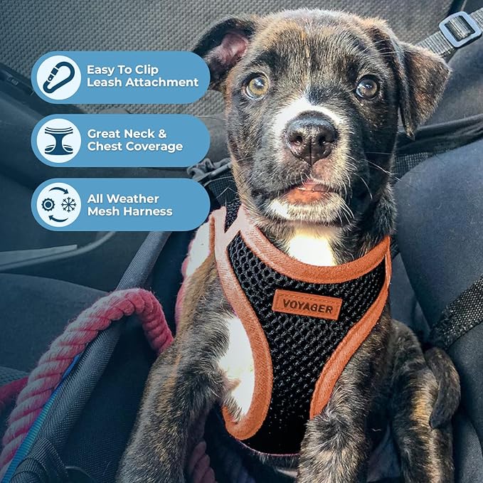 Voyager Step-in Air All Weather Mesh Harness and Reflective Dog 5 ft Leash Combo with Neoprene Handle, for Small, Medium and Large Breed Puppies by Best Pet Supplies - Black/Orange Trim, X-Large