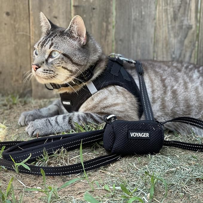 Voyager Step-in Air All Weather Mesh Harness and Reflective Dog 5 ft Leash Combo with Neoprene Handle, for Small, Medium and Large Breed Puppies by Best Pet Supplies - Set (Black), XL
