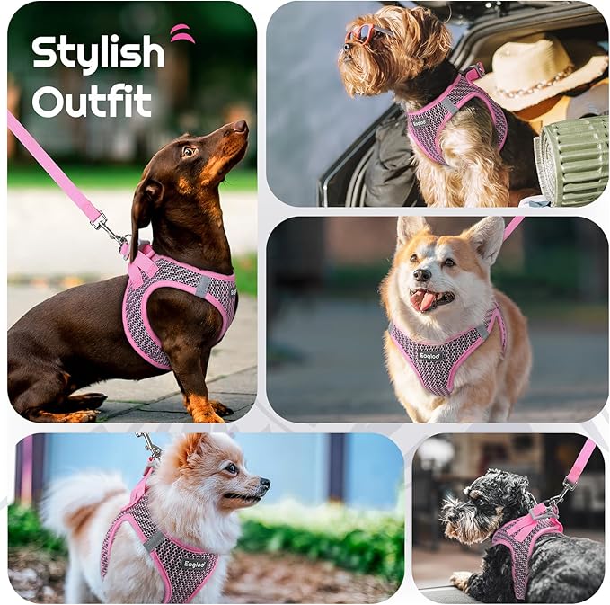 Eagloo Small Dog Harness and Leash Set, Step in Puppy Vest with Breathable Soft Mesh, Walking Reflective Pet Harness for Small Dogs, Pink, XS