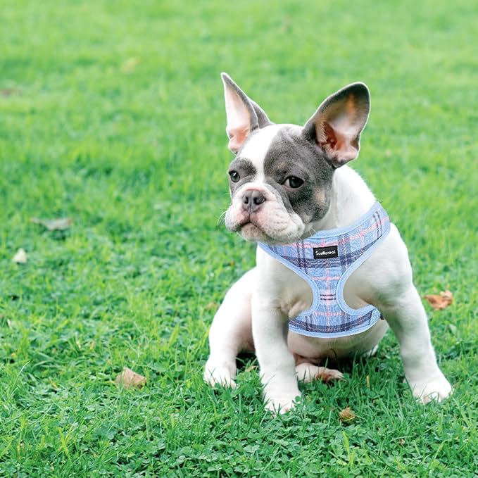 SCENEREAL Puppy Dog Harness with Leash Set for Small Medium Sized Dogs, Soft Mesh Step in Pet Harnesses and Leash, No Chock Plaid Adjustible No Pull Vest for Dogs Cats, Chihuahua,Bulldog (Blue XS)