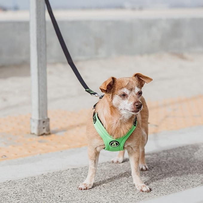 Gooby Escape Free Sport Harness - Lime, Medium - No Choke Step-in Patented Neoprene Small Dog Harness with Four-Point Adjustment - Perfect on The Go Dog Harness for Medium Dogs No Pull and Small Dogs