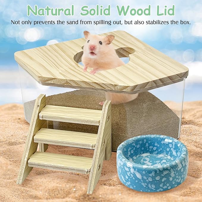 kathson Hamster Sand Bath Box Transparent Acrylic Small Syrian Hamster Shower Bathtub Small Gerbil Digging Sand Container with Climbing Ladder and Ceramic Bowl Cage Accessories for Lemmings Mice