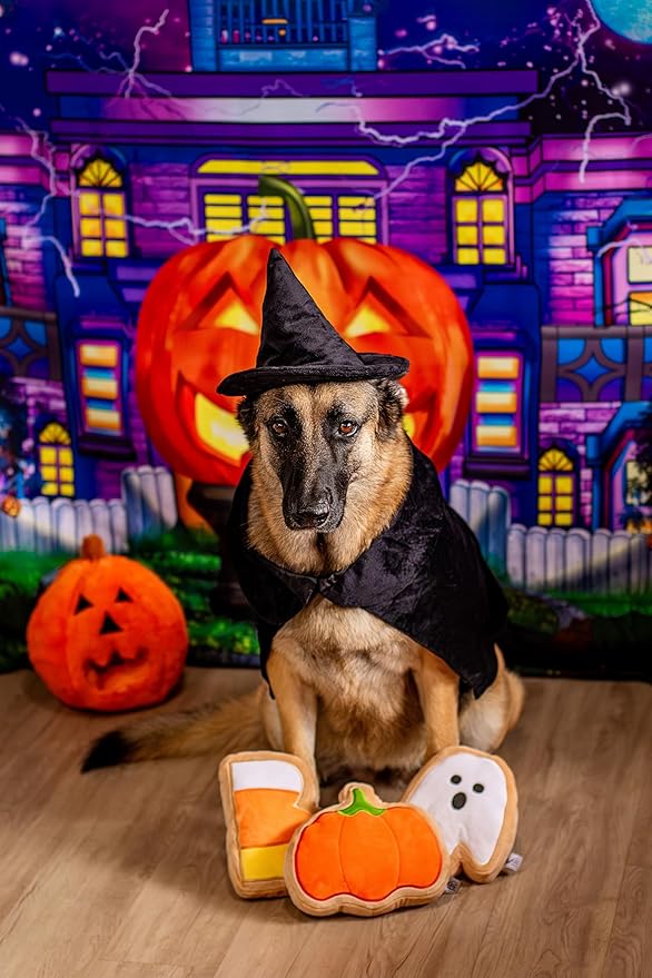 Midlee Boo Sugar Cookie Halloween Plush Dog Toys (Small)