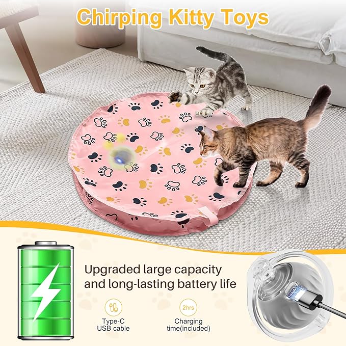 Interactive Cat Toys for Indoor Cats, Automatic Motion Cat Toy in Pouch Fast Rolling Ball in Play Mat Hide and Seek Mouse Catching Game with Chirping Stimulation,Led Light,Auto On/Off(Pink)