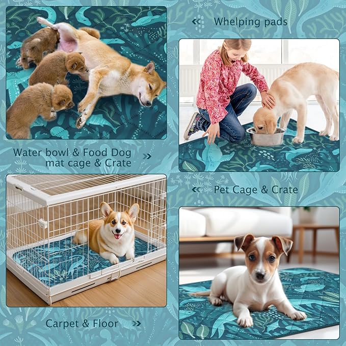 BVAGSS Washable Pee Pads for Dogs, 2 Pack Reusable Leakproof Puppy Wee Wee, Non-Slip Waterproof Pet Training, Super Absorbent Whelping XH081 (Dino Green, 41X41 Inch)