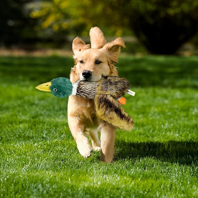 Upgraded Duck Dog Toy - 15.7inches, for Small to Large Breeds - Squeaker and Crinkle Paper Plush Mallard Duck Toy
