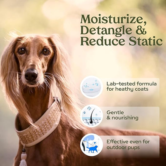 PAWFUME Dog Perfume Spray Long Lasting Scent for Grooming, Show Dog, 1-Pack – Keep Your Pup Fresh All Day – Hypoallergenic, Alcohol-Free, Detangling & Moisturizing – Salon-Quality Dog Cologne Spray