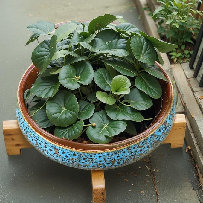 Baderke 2 Pcs Lotus Bowl Planter with Base Ceramic Hydroponic Planter Water Lily Bowl for Planting Aquatic and Indoor Plants Household Ceramic Basin Decor(Blue)