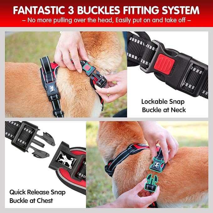PoyPet Dog Harness and Leash Combo, Escape Proof No Pull Vest Harness, with 5 Feet Leash, Reflective Adjustable Soft Padded Pet Harness with Handle for Small to Large Dogs(Red,S)