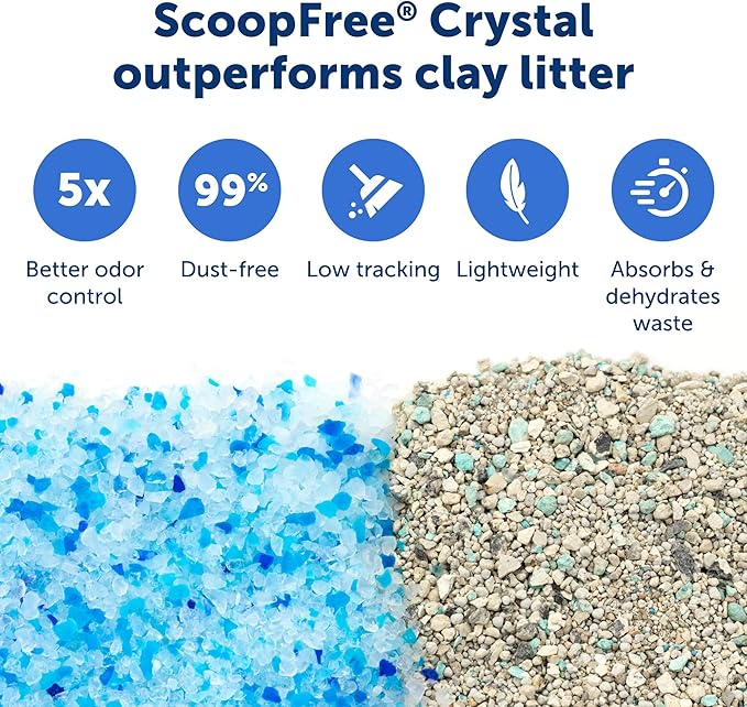 PetSafe ScoopFree Crystal Pro Self-Cleaning Automatic Litter Box - Top-Entry Motion-Sensing Cat Box with Integrated Health Counter - Includes 1 Disposable Crystal Litter Tray