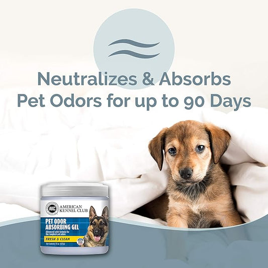 SMELLS BEGONE Pet Odor Absorber Gel - Air Freshener & Odor Eliminator - Made with Essential Oils - Fresh & Clean Scent - 15 Ounce