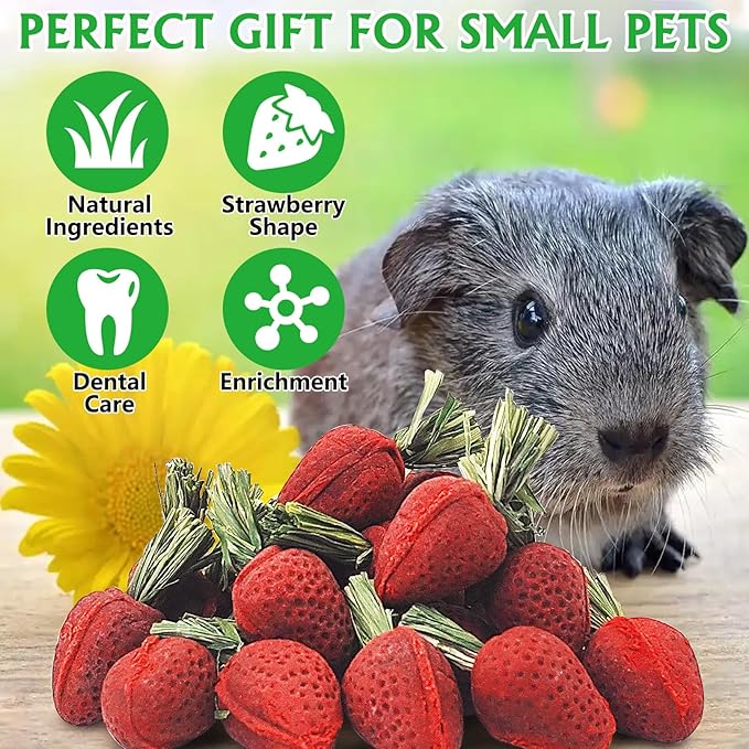 Fhiny Rabbit Chew Toys, 12 PCS Natural Hamster Molar Snacks Handmade Small Animal Chew Toys for Teeth Timothy Hay Treats Habitat Decor for Bunny Guinea Pig Chinchilla Hamster Gerbil Dental Care