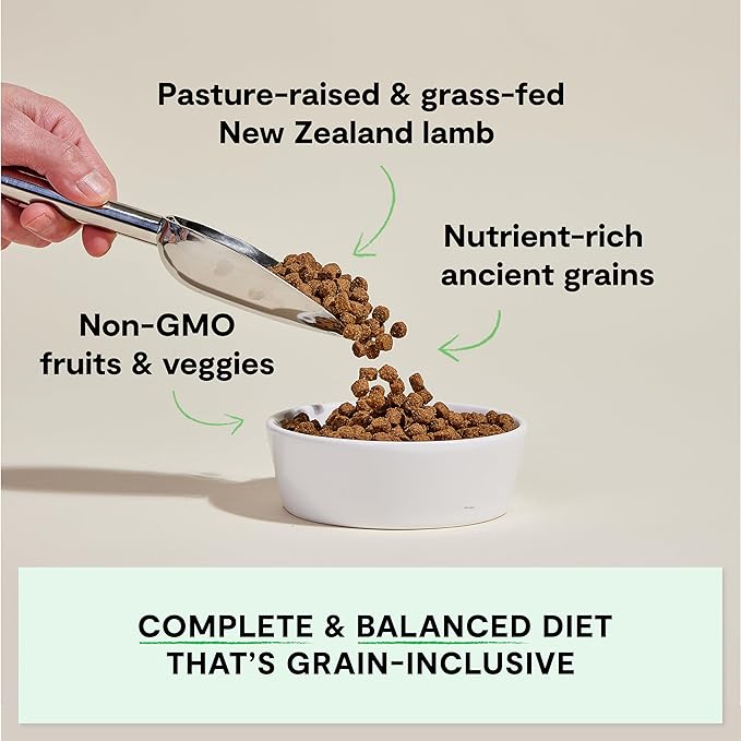 Open Farm, Ancient Grains Dry Dog Food, Protein-Rich & Nutrient Dense, 90% Animal Protein Mixed with Non-GMO Fruits, Veggies and Superfoods, Pasture Raised Lamb Recipe, 11lb Bag