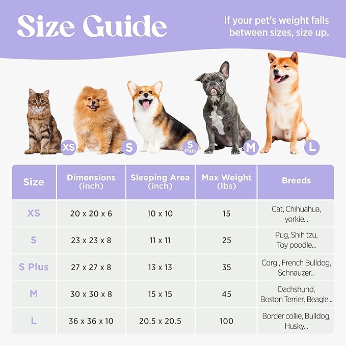 Lesure Donut Medium Dog Bed - Round Cat Beds for Indoor Cats Calming Pet Beds, Cute Modern Beds with Jacquard Shaggy Plush & Anti Slip Bottom, 30 Inch, Purple