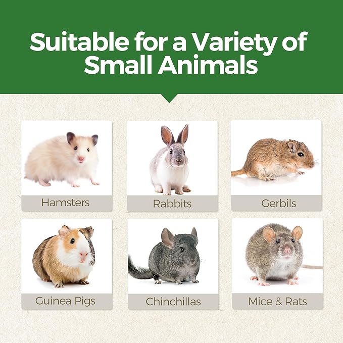 TEEWY Santa Claus Guinea Pig Toys, Natural Vegetables, Fruits and Timothy, Hamster Chew Toys for Teeth, Guinea Pig Toys Enrichment, Small Animal Chew Toys for Chinchilla, Rat, Gerbil, 2PCS