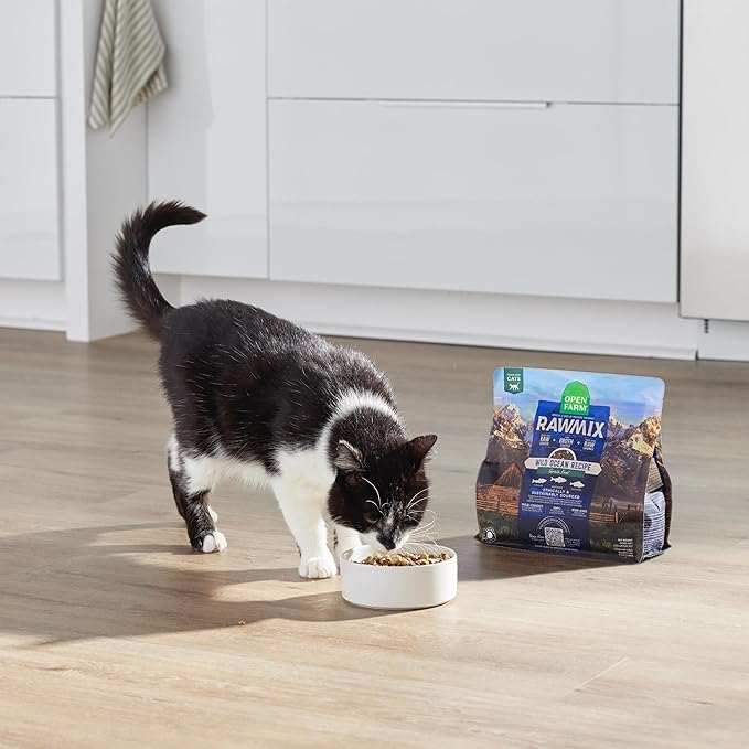 Open Farm, RawMix Dry Cat Food, Protein-Packed Kibble Coated in Bone Broth with Freeze Dried Raw Chunks, Formulated for Kittens, Chicken with Turkey & Wild-Caugh Salmon Recipe for Kittens, 2.25lb Bag