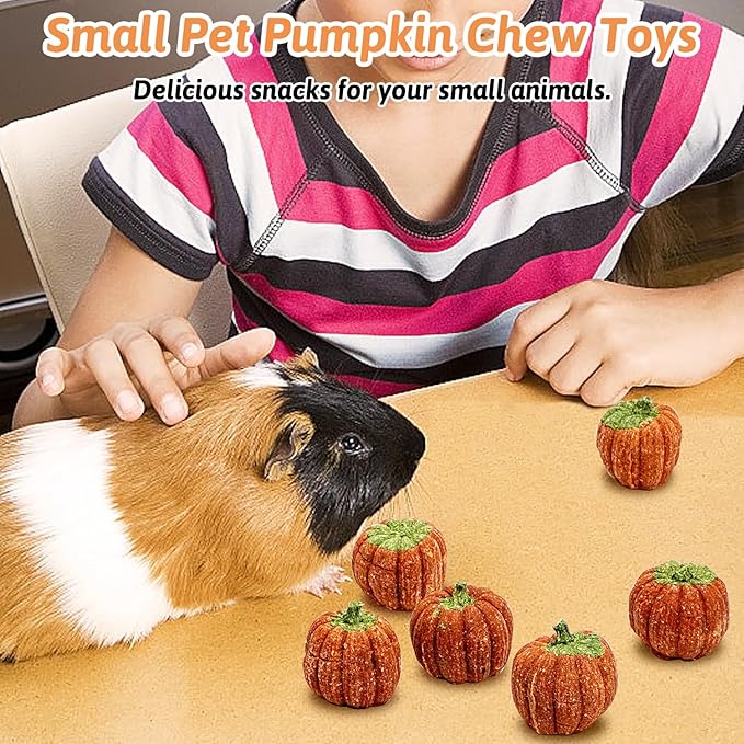 Fhiny 6 PCS Rabbit Chew Toys, Natural Pumpkin Carrot Timothy Grass Guinea Pig Chew Toys for Teeth Bunny Molar Snacks Dental Care Hamster Treats for Bunny Guinea Pig Chinchilla Hamster Gerbil