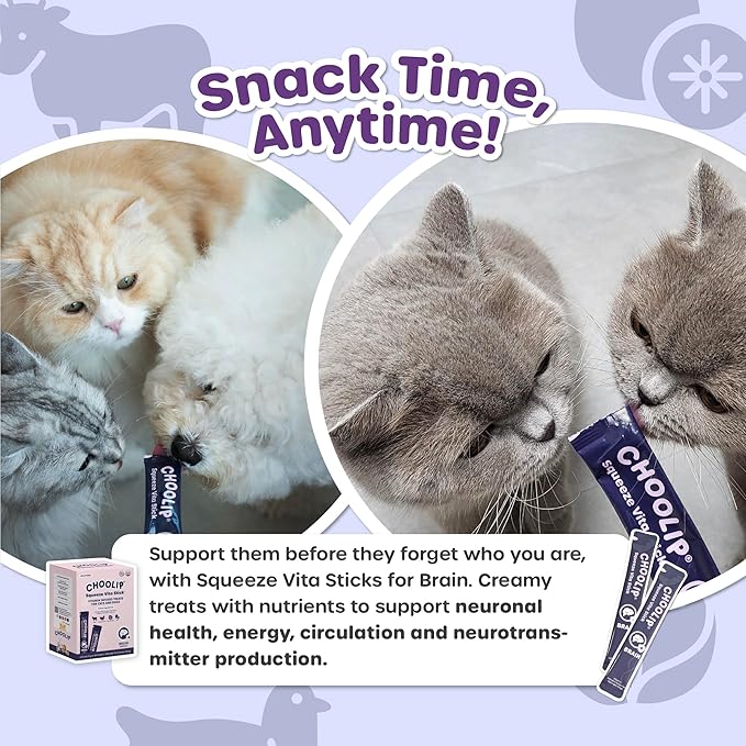 Squeeze Vita Stick Lickable Cat and Dog Treats – 49-Count Brain Support Sticks with Multivitamins, Soft Squeezable Paste for All Life Stages, Supporting Brain Health