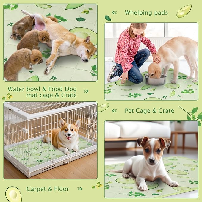 BVAGSS Washable Pee Pads for Dogs, 2 Pack Reusable Leakproof Puppy Wee Wee Pad, Non-Slip Waterproof Pet Training Pads, Super Absorbent Whelping Pads XH081 (Avocado, 36X36 Inch (Pack of 2))