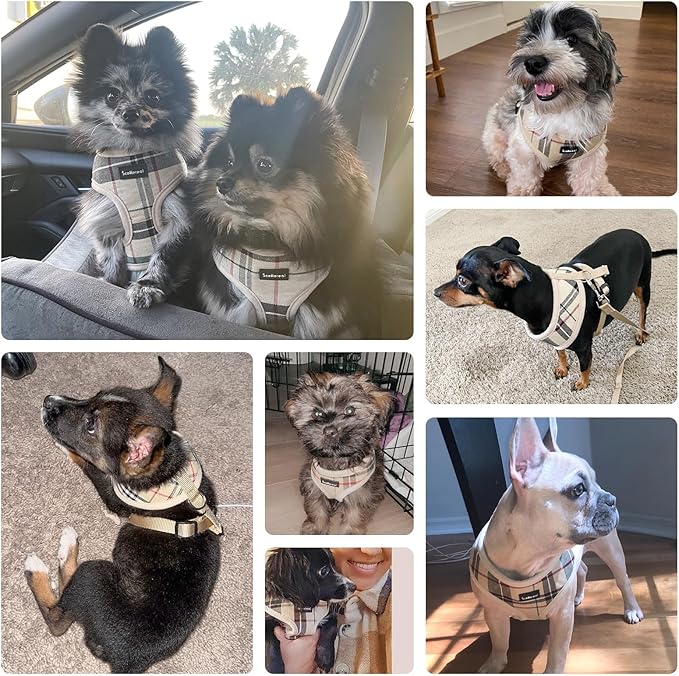 SCENEREAL Puppy Dog Harness with Leash Set for Small Medium Dogs, Soft Mesh Step in Pet Harnesses and Leash, No Chock Plaid Adjustible No Pull Vest