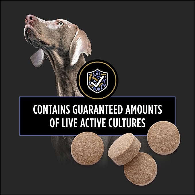 Purina Pro Plan Veterinary Supplements FortiFlora Chewable Dog Probiotic Supplement Tablets - 90 ct. Canister