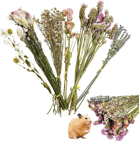 PINVNBY Natural Flower & Herb Hamster Bedding Habitat Decor Guinea Pig Bedding Hamster Sprays Hamster Cage Accessories for Guinea Pig Dwarf Syrian Gerbils Mice Mouse Rat (Flower Version)