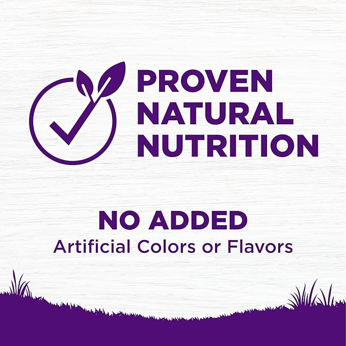 Wellness Natural Pet Food Complete Health Natural Grain Free Dry Dog Food, Chicken, 12-Pound Bag