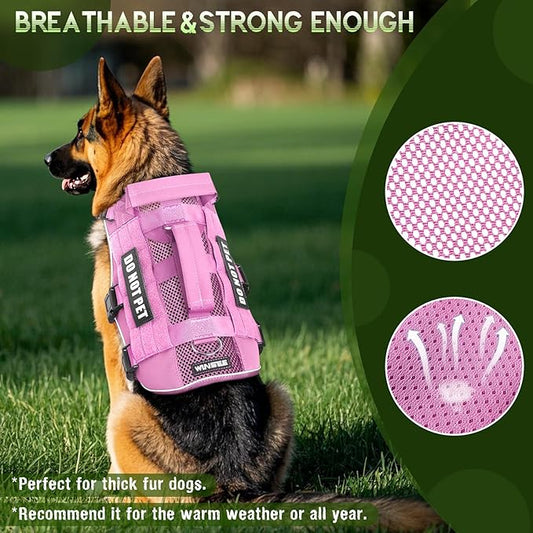 WINSEE Mesh Dog Harness with 10 Pet Patches for Medium Service Dog in Training, Breathable Tactical Molle Vest with Double Handle, Reflective Military Pet Vest for Walking Hiking