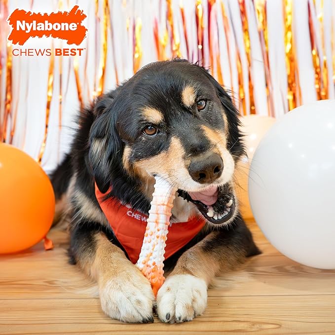 Nylabone Limited Edition 70th Birthday Textured Bone Power Chew Toy for Dogs, Durable & Tough Dog Toys for Aggressive Chewers, Roasted Chicken Flavor, X-Large Dogs - 50+ lbs (1 Count)