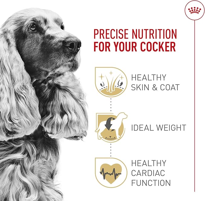 Royal Canin Cocker Spaniel Adult Dry Dog Food, 25 lb bag