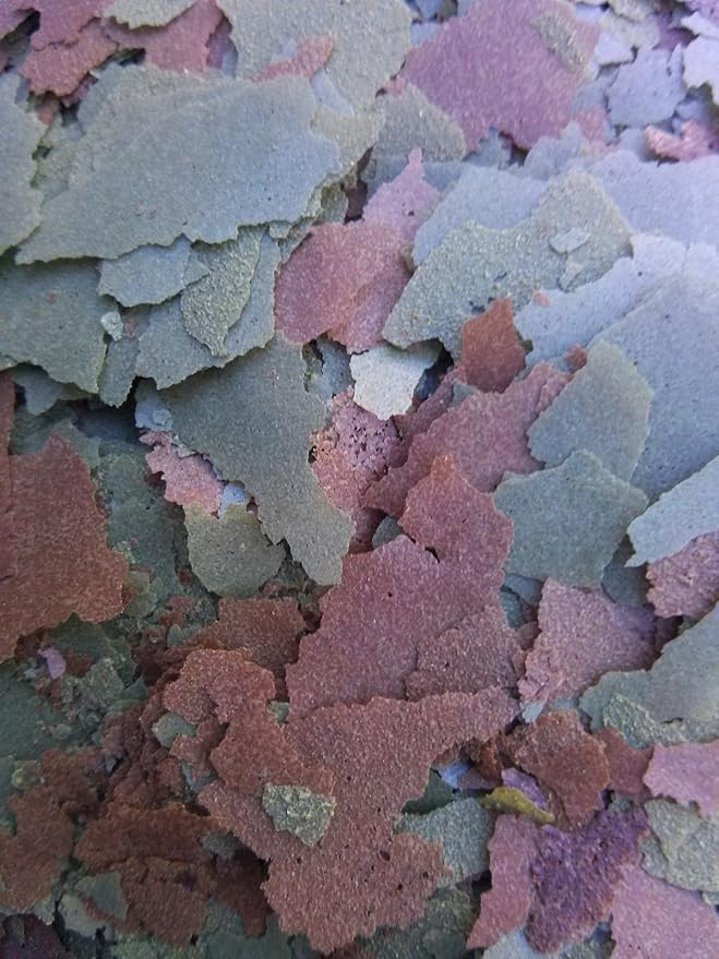 Aquatic Foods Inc. Flakes - 45% California Blackworm & Spirulina Green GRO Flake Mix for Discus, Cichlids, Tetras, Guppies, Live Bearers, Pond Fish, ATropical Fish - Premium AF Flakes - 1/8-lbs