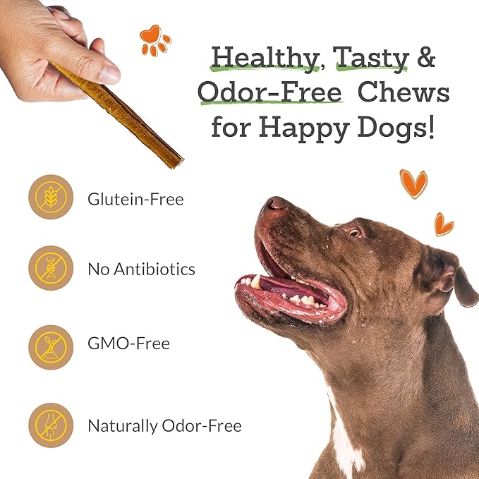 12 Inch Bully Sticks (Pack of 5) - 100% Beef, Odor Free Dog Chews for Aggressive Chewers - Long Lasting, Gluten-Free, Easy to Digest, High Protein - for Small, Medium, Large Dogs