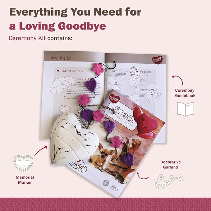Cloud® - Eco-Friendly Pet Burial & Cremation Ceremony Kit - Casket for Smaller Pets: Rabbits Hamsters Gerbils Birds Reptiles, Small Cats (Choose Size & Color)(Medium, Pink)