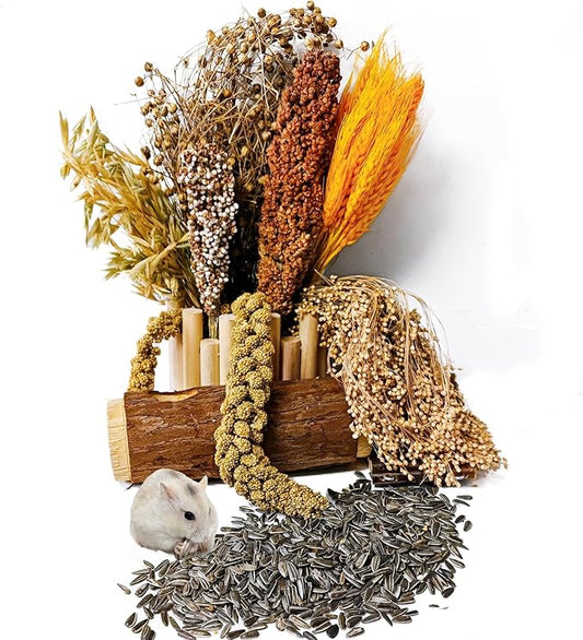 Natural Hamster Flower & Herb Habitat Deocr, Hamster Sprays Herbs Bedding Mate, Hamsters Cage Enrichment Decoration Accessories for Gerbil Dwarf Syrian Hamsters Guinea Pig Mice or Small Animals