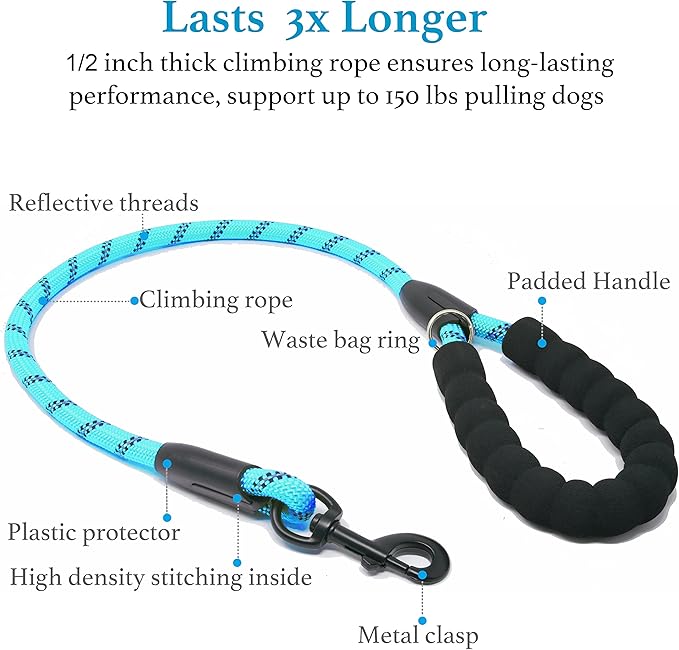 iYoShop Dual Dog Leash - 360° Swivel, No Tangle Walking Leash with Shock Absorbing Bungee for Two Dogs (Medium, 8-35 lbs, Blue)