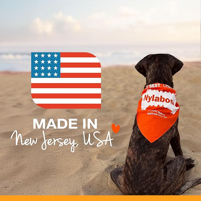 Nylabone Power Chew Classic Bone Chew Toy for Dogs, Durable Dog Toys for Aggressive Chewers, Bacon Flavor, Large/Giant - Up to 50 lbs. (1 Count)