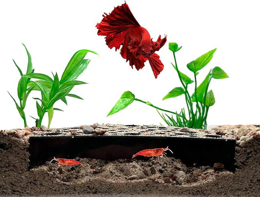 Shrimp Breeding Protector | Shrimp Breeding Cave Aquarium Tunnel | CTWPets (Black)