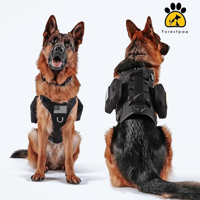 Forestpaw Tactical Dog Harness for Large Dogs,Tactical Dog Collar with Bungee Leash Set,No Pull Military Dog Harness for Walking Training,Adjustable for Medium Large Dogs,Black,Chest 19.5-41.5"