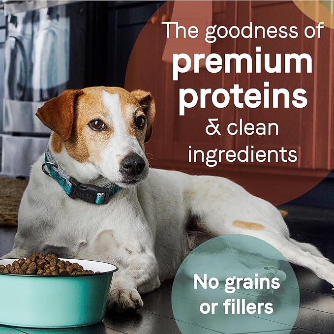 Canidae Pure Limited Ingredient Premium Adult Dry Dog Food, Real Lamb & Sweet Potato Recipe, 22 lbs, Grain Free