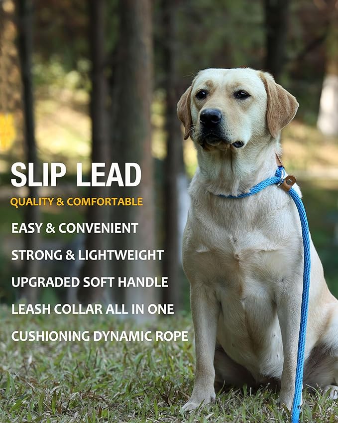 lynxking 8 FT Dog Leash Slip Lead 2 Pack Strong Heavy Duty Braided Dog Training Leash No Pull Training Lead Leashes for Medium Large and Small Dogs
