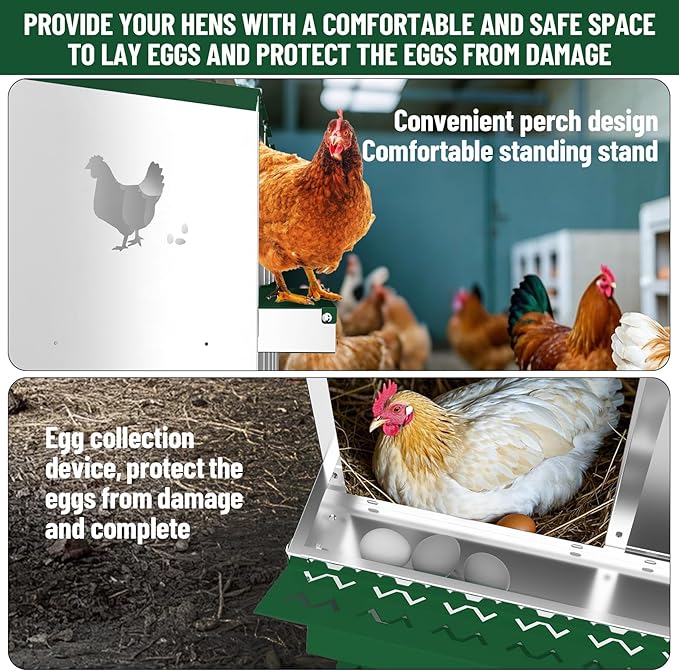 6 Compartments Chicken Nesting Box,Metal Chicken Egg Laying Box, Nesting Boxes,Easy Egg Collection, Easy Cleaning (Green)